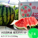 【ふるさと納税】 先行予約 大玉 尾花沢すいか 4L×1玉入り 2025年産 令和7年産 送料無料スイカ ja-suo1x4