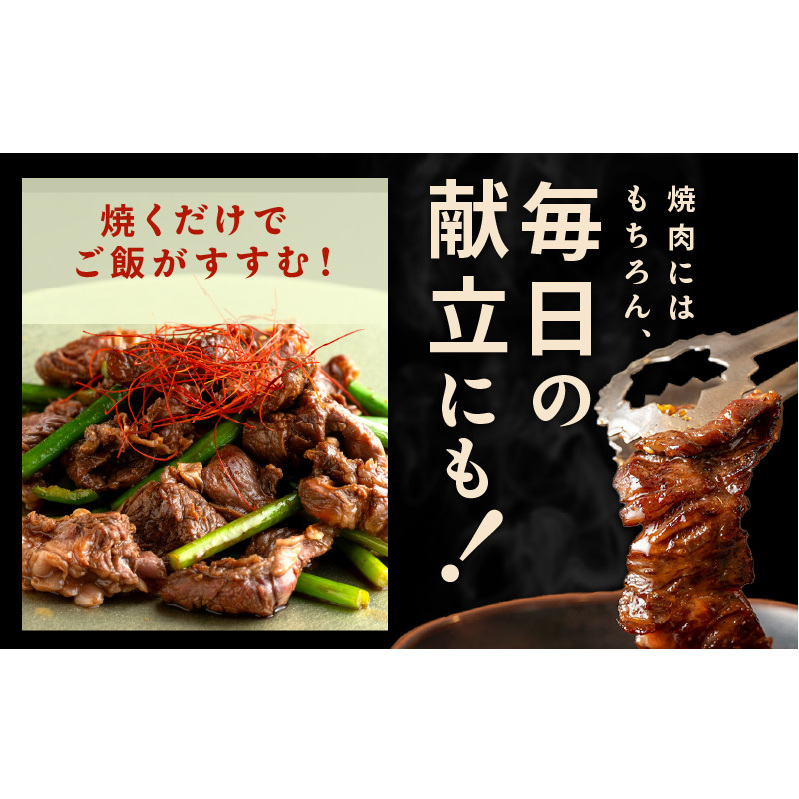 焼き肉専門店 自家製タレ漬け ハラミ 合計500g（250g×2） G1598_イメージ5