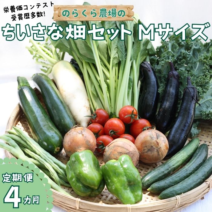 【ふるさと納税】●先行受付・2025年発送　定期便4カ月　有機野菜ちいさな畑セット（Mサイズ　2～3人前）（NK-T503）