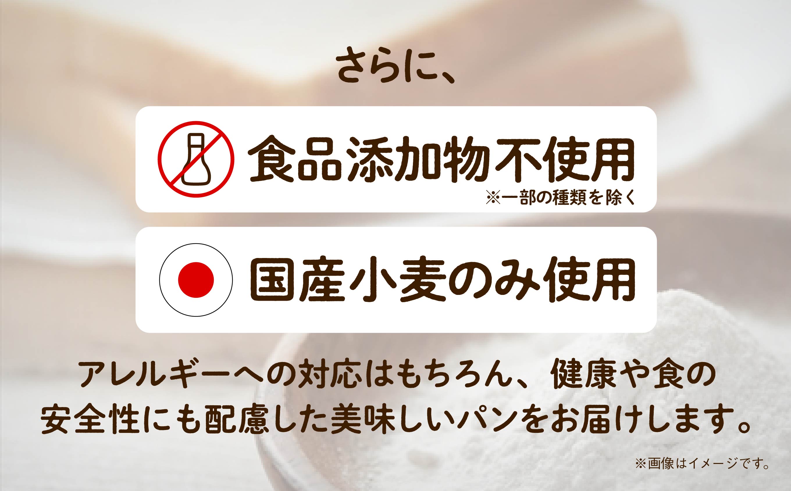 【卵・乳アレルギー対応】学校給食パンセット（全10種類） 012047