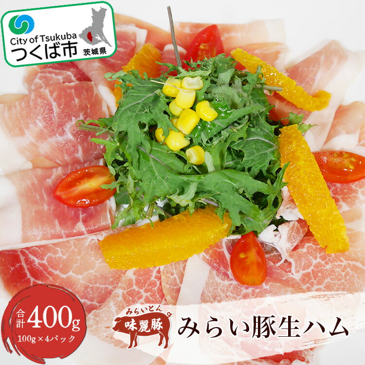 みらい豚生ハム400g【100g×4パック】村下商事シリーズ【離島沖縄配送不可】【配送不可地域：離島・沖縄県】