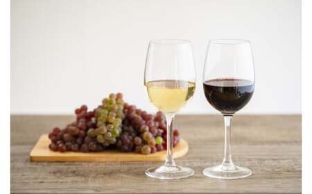 【ふるなび限定】＜和食に合うセット＞五一わいん シャトー 赤 720ml…１本/アルプス 信州酸化防止剤無添加樽熟 白 720ml…１本 | 五一ワイン アルプスワイン 赤 白 ワイン 和食 メルロ 