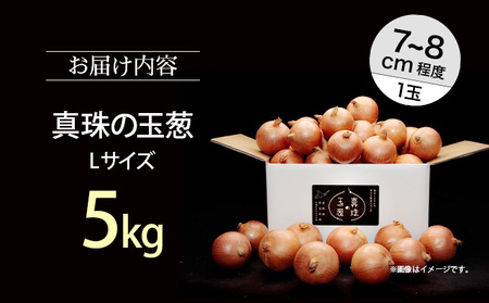 真珠の玉葱 Lサイズ5kg ≪海のミネラルで育てた玉葱≫【50103】