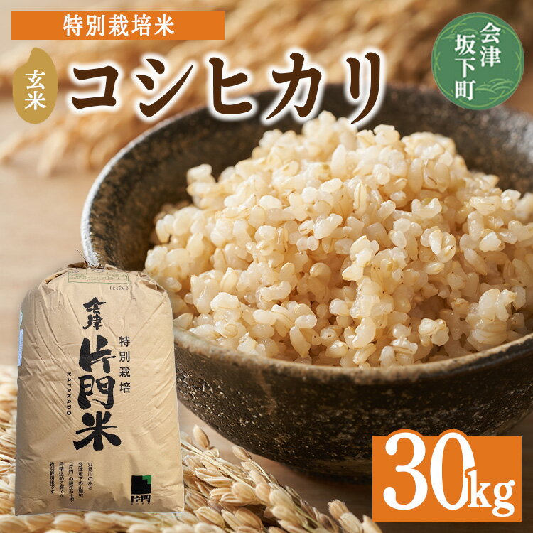 【ふるさと納税】3-D　コシヒカリ 玄米 会津 30kg 令和7年産 ｜ 特別栽培米 減農薬 米 お米 藤川農産 ※2025年10月上旬頃より順次発送予定