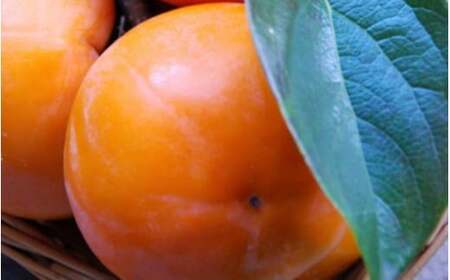 [甘柿の王様]和歌山産富有柿約3.5kgサイズ混合 / 柿 かき カキ フルーツ 果物 くだもの 和歌山  【tec980】