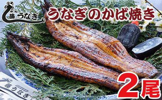 
【土用の丑対応可】藤うなぎ かば焼き2尾 国産うなぎ 宮崎 蒲焼 鰻＜1.7-2＞
