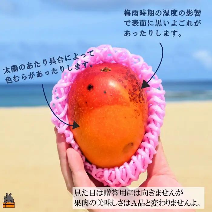 ≪今が旬！≫訳あり！【家庭用】徳之島産完熟マンゴー2kg（4～8玉）フルーツ わけあり 訳あり 果物