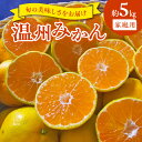 【ふるさと納税】家庭用 温州みかん 約 5kg 1箱 進栄 柑橘 果実 常温 果物 ビタミンC 豊富 みかん 旬 国産 フルーツ デザート 熊本 九州 食品 お取り寄せ お取り寄せフルーツ 送料無料【熊本県宇土市】