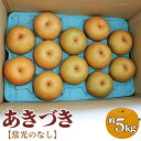 【ふるさと納税】No.486 【常光のなし】「あきづき」～鴻巣市産の梨～ ／ 5kg 先行予約 果物 フルーツ 秋旬 デザート ギフト 贈答 常光果樹組合 送料無料 埼玉県