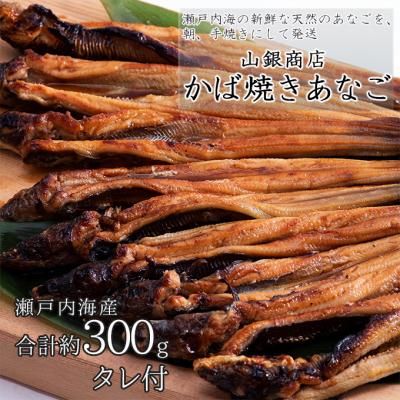 ふるさと納税 瀬戸内市 【先行受付】 山銀商店 かば焼き あなご (合計約300g)   [No.5735-0706]
