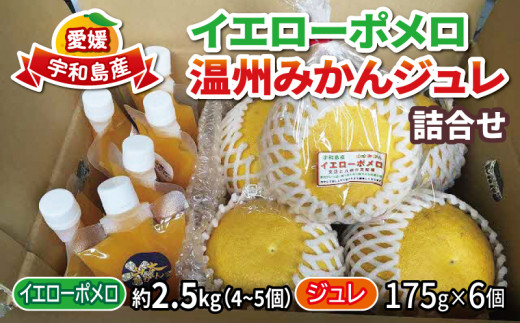 
愛媛 みかん イエローポメロ 2.5kg 4 ~ 5個 温州 みかん ジュレ 6個 詰め合わせ セット 山本みかん 温州みかん ゼリー 蜜柑 イエロー ポメロ 果物 フルーツ 柑橘 農家直送 産地直送 数量限定 国産 宇和島 B010-038004
