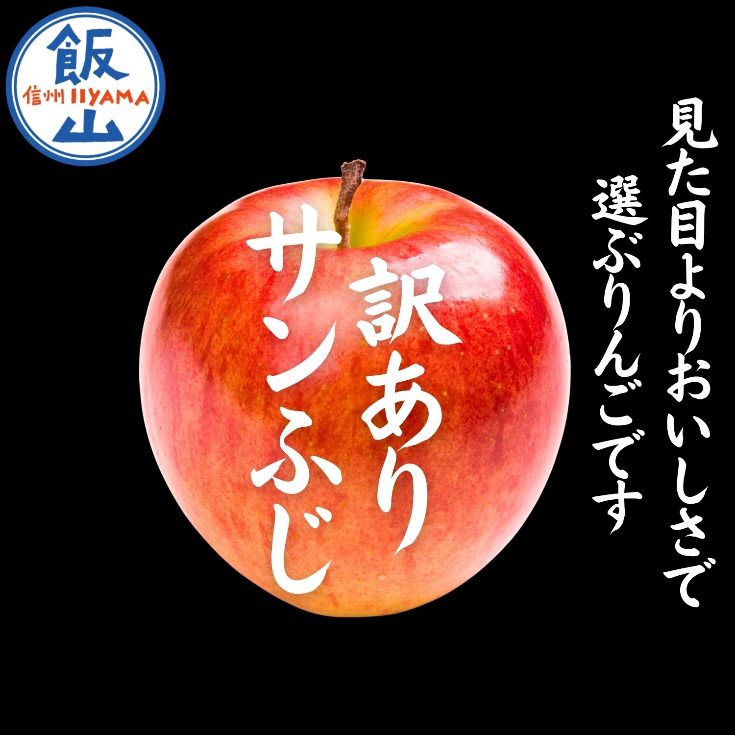 【ふるさと納税】＼ 2026年先行予約 ／訳あり サンふじ 信州 りんご 選べる3kg / 5kg / 10kg 塩崎農園【 果物 フルーツ りんご 不揃い 規格外 家庭用 林檎 リンゴ ふじ 長野県 信州 数量限定 令和8年産 産地直送 生産者直送 傷あり 自宅用 飯山市】 (At)