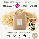 【ふるさと納税】【6回定期】特別栽培米 コシヒカリ ヒロシノキモチ 玄米 5kg 総計30kg 陽咲玲 米 お米 コメ ご飯 ごはん 富山県産 富山県 立山町 F6T-635