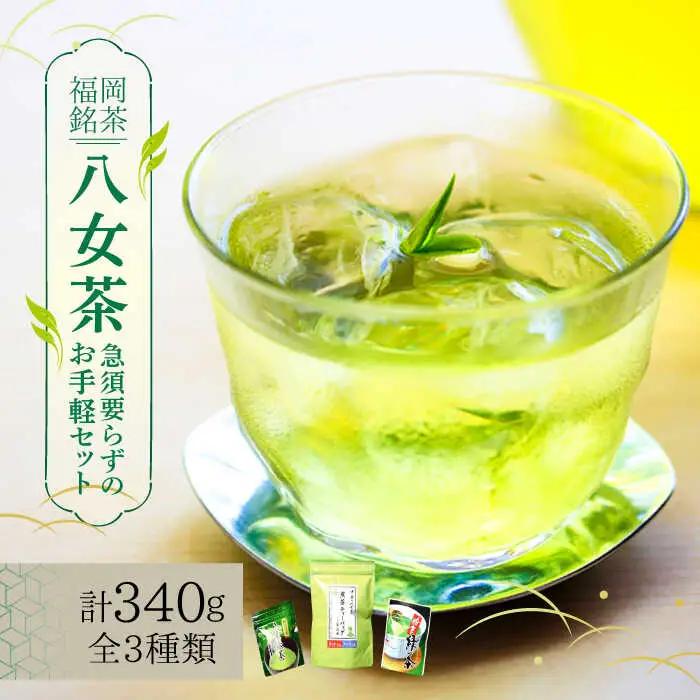 八女茶 福岡銘茶 八女茶 ティーバッグ付 [ABCJ031] 250g セット