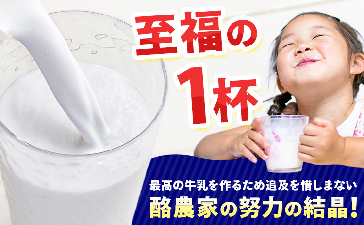 【6ヶ月定期便】ロングライフ 常温保存可能 北海道 3.6 牛乳 1000ml × 12本 日高乳業《お申込み翌月から出荷》北海道 日高町 牛乳 常温 備蓄 ストック 定期便 1L---hohdk_h