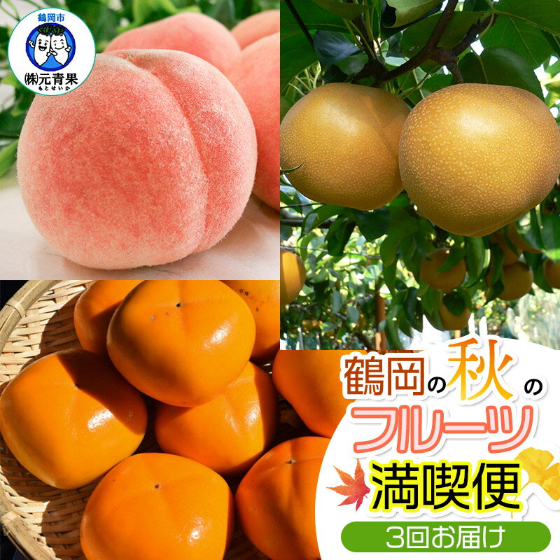 【ふるさと納税】【令和7年産先行予約】 鶴岡の秋のフルーツ満喫便（3回お届け）　白桃・和梨・庄内柿　※品種おまかせ　各約5kg
