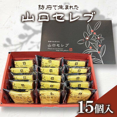 【ふるさと納税】山口セレブ(15個入)【1604664】