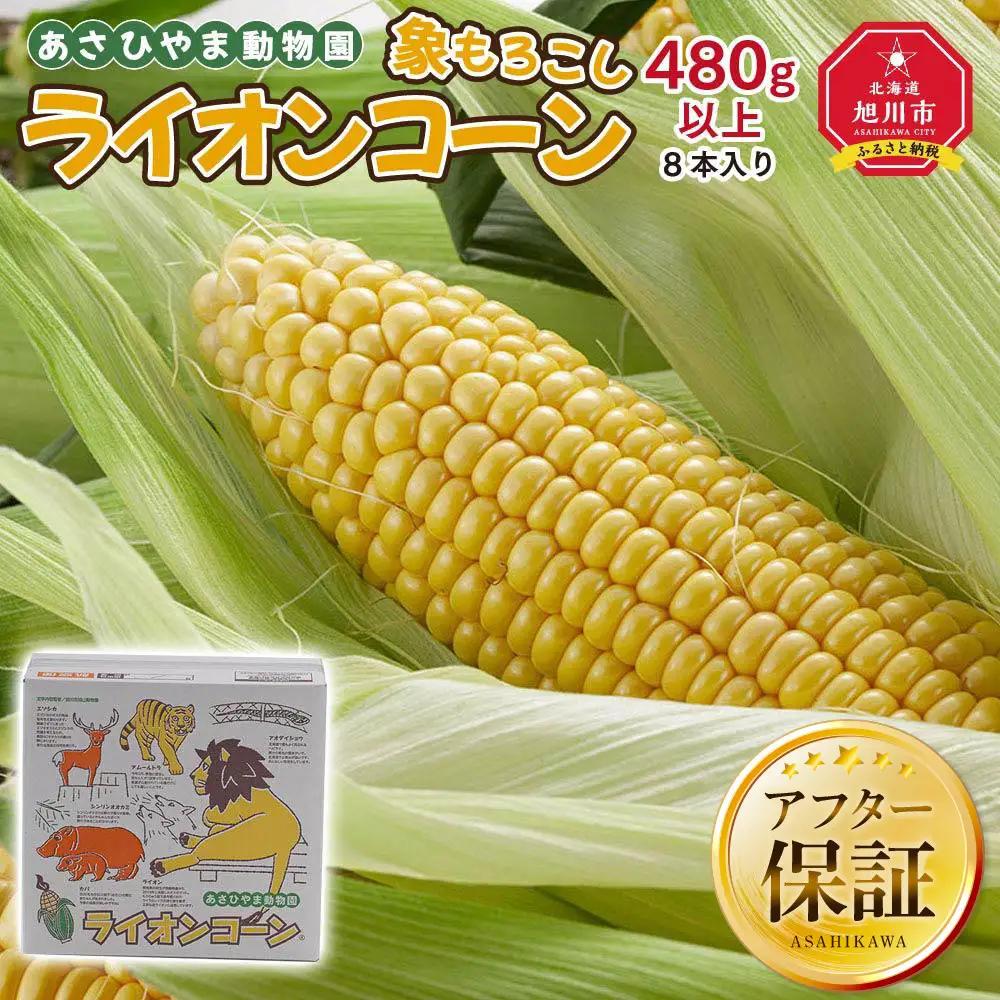 【先行予約】象もろこし（ライオンコーン）大きいサイズのトウモロコシ　480ｇ以上8本入り(2025年8月下旬～発送開始) | トウモロコシ  _01412