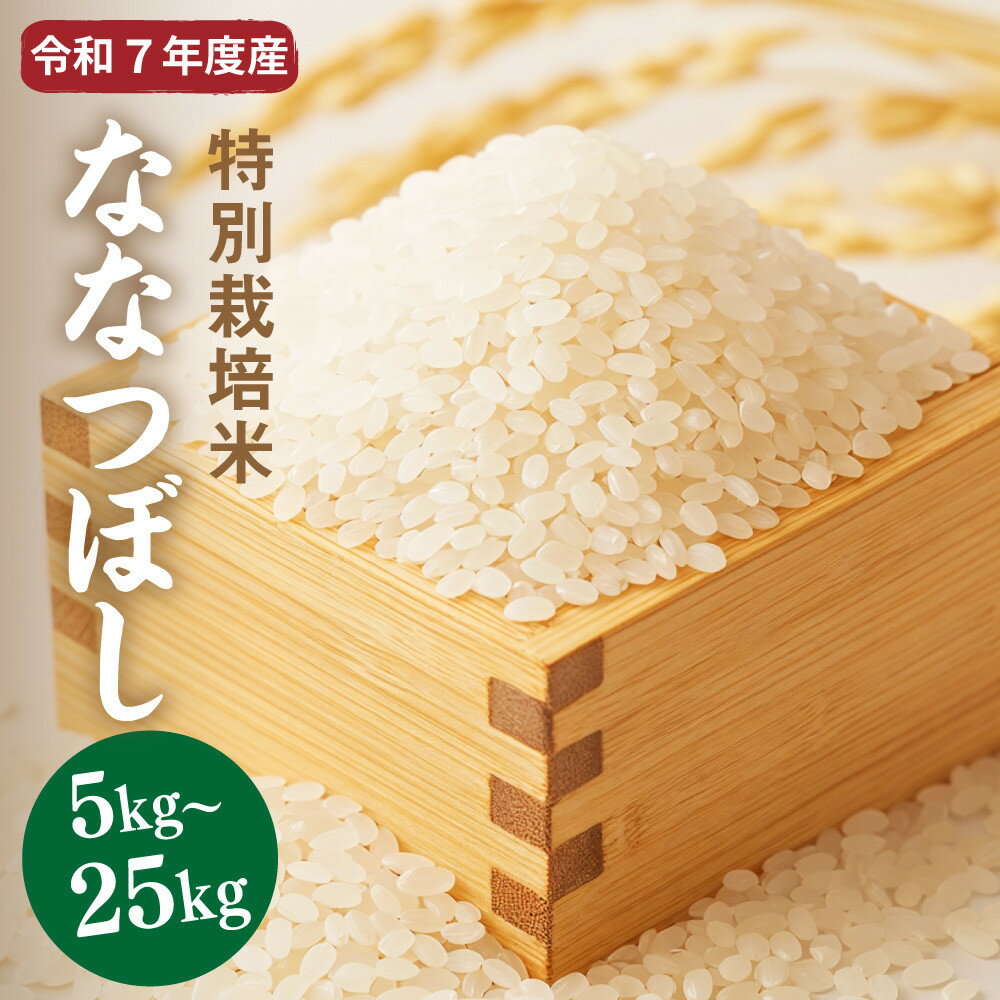 【ふるさと納税】【R7年産新米】北海道産特別栽培米 アポイ米（ななつぼし）5kg