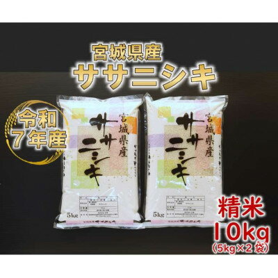 【ふるさと納税】令和7年産 ササニシキ 精米10kg(5kg×2) 宮城県産【1691459】