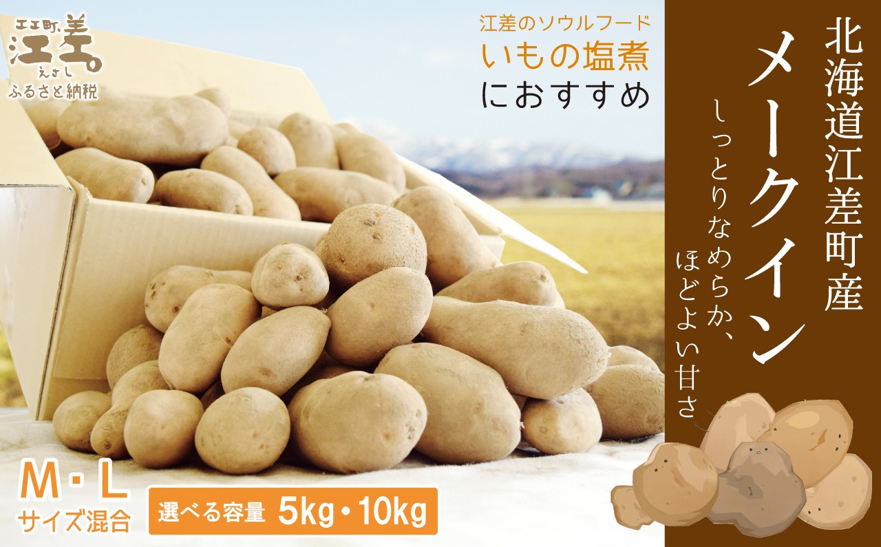 
                  【8月下旬～順次出荷】北海道江差産 メークイン M・L混合 〈容量が選べる 5kg/10kg〉　しっとり甘い江差産　北海道のじゃがいも　いもの塩煮にぴったり　いかの塩辛と一緒にどうぞ　ジャガバター　フライドポテト　カレー
                