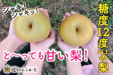 女子力高めの梨農家姉妹がおくる！ ゴロゴロ果肉の美梨ジャム 4個セット [A-6321]