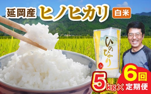 延岡産ヒノヒカリ（白米）5kg 6ヶ月定期便 N0218-YG0261