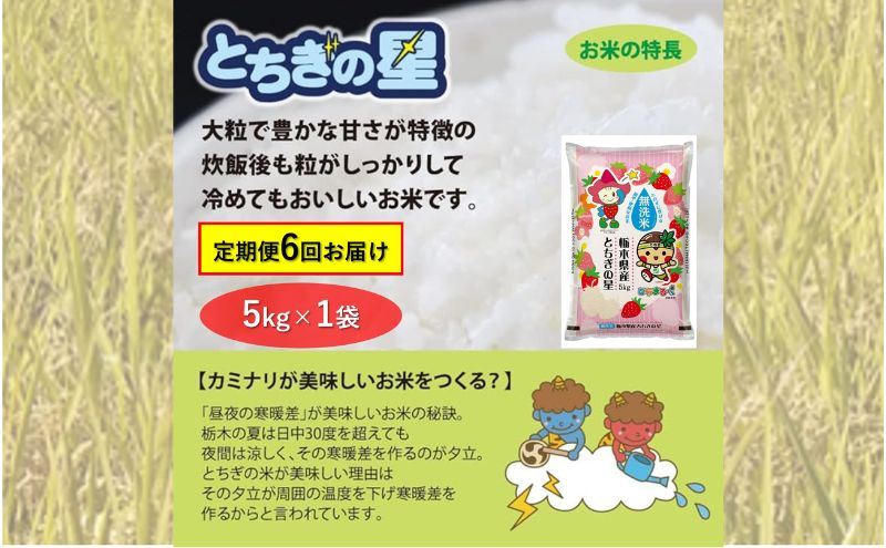 
            【定期便 6ヶ月】栃木県鹿沼市産 とちぎの星 無洗米 5kg 6回お届け 令和6年産 水稲うるち精米 単一原料米 お米  特A 大粒  [№5840-2396]
          