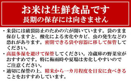 新米先行予約【令和8年産米・3ヶ月定期便】新之助 無洗米 4kg（2kg×2袋）×3回（計 12kg）ヤタらうんめぇお米 水田環境鑑定士在籍 しんのすけ[Y0179]