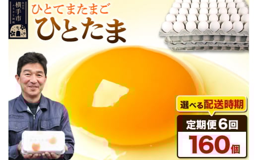 《定期便6ヶ月》ひとたま 160個（業務用）【発送時期が選べる】
