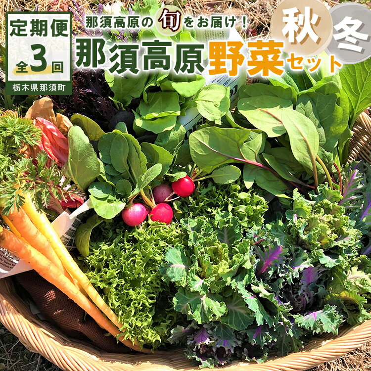 【ふるさと納税】【3か月定期便】那須ブランド 秋冬の那須高原野菜セット ｜ 野菜 お野菜 新鮮 詰め合わせ やさい みずみずしい 美味しい 自然 栃木県 那須町〔D-59〕 ※北海道・沖縄・離島への配送不可 ※2026年9月上旬～11月下旬頃に順次発送予定