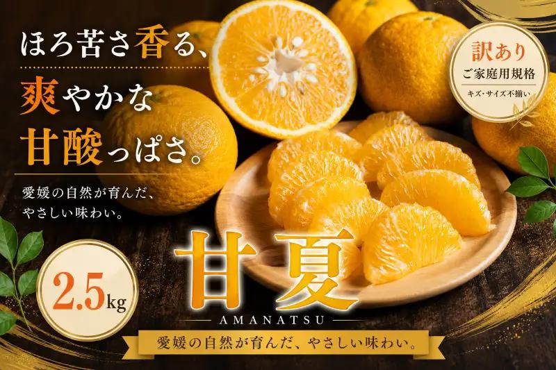 ＜訳あり 愛媛県産甘夏 合計約2.5kg＞『2027年3月下旬～4月下旬迄に順次出荷予定』あまなつ 甘酸っぱい あまずっぱい ご家庭用 果汁 果物 くだもの フルーツ みかん オレンジ 柑橘 人気柑橘 特産品 株式会社OSN 愛媛県 西予市 【常温】OOS0053