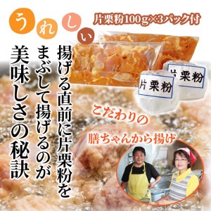 1100R_膳ちゃん唐揚げ1.65kg+鶏皮揚げ0.2kg 