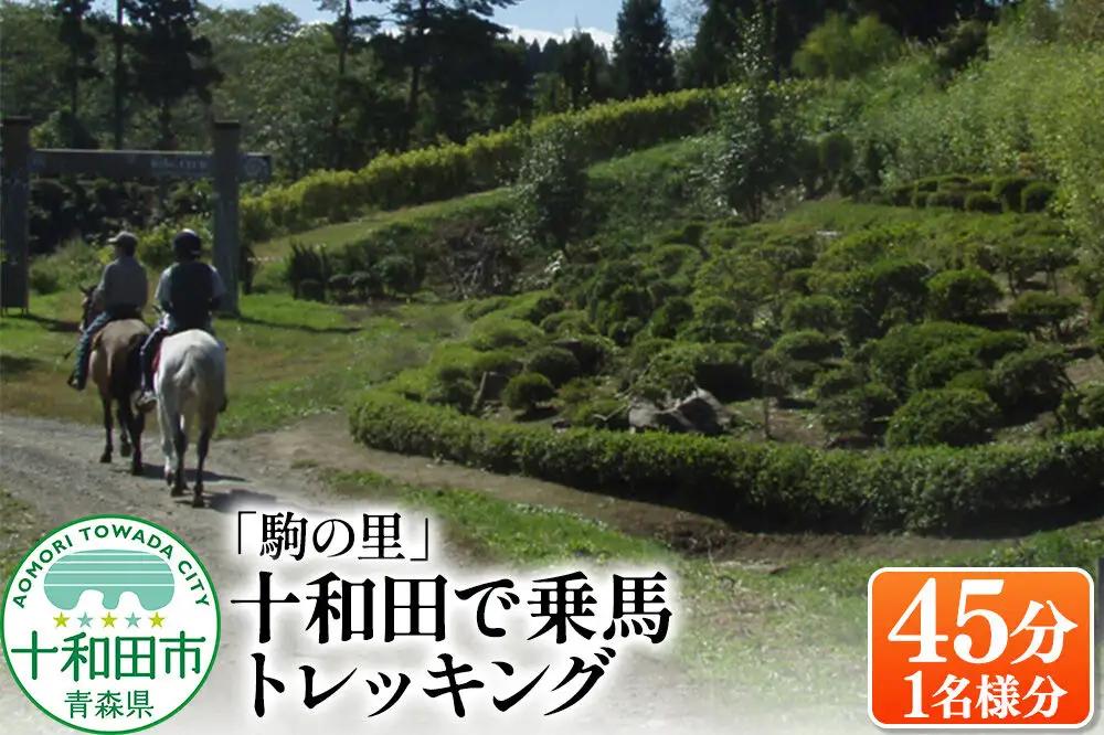 「駒の里」十和田で乗馬トレッキング45分（1名様分） レターパックプラス 青森県十和田市
