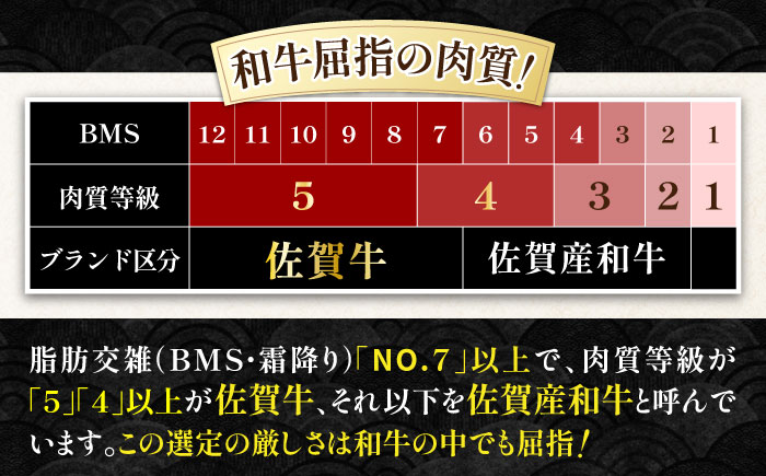 佐賀牛 贅沢サーロインステーキ 200g×2枚（計400g）/サーロインステーキ　黒毛和牛ステーキ　上質ステーキ ブランドステーキ 国産ブランド和牛ステーキ 上質サーロイン 贅沢【株式会社いろは精肉店