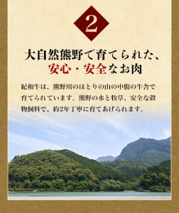 ステーキ 肉 牛 牛肉 サーロイン 紀和牛 国産 / 紀和牛サーロインステーキ3枚セット【冷蔵】【tnk101-1】