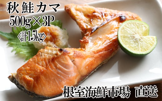 
G-28042 根室海鮮市場＜直送＞甘汐天然秋鮭カマ500g×3P(計1.5kg)
