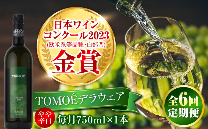 
            【全6回定期便】TOMOEデラウェア 白ワイン やや辛口 750ml 1本 白 ワイン 受賞 ギフト 醸造 おすすめ 三次市 / 広島三次ワイナリー [APAZ051]
          