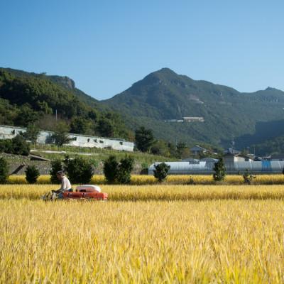 ふるさと納税 土庄町 【令和7年産】肥土山そだち米(香川県産コシヒカリ)10kg |  | 03