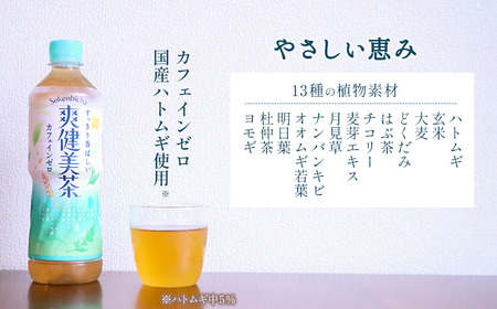 爽健美茶 600mlPET 24本入り  1ケース