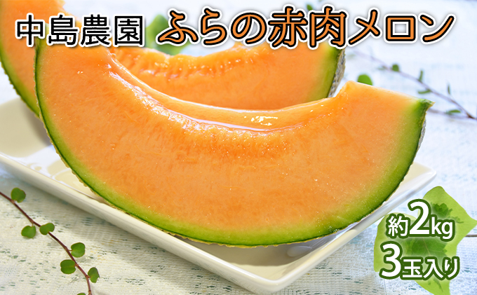 【2026年7月～発送】北海道 富良野市 ふらの赤肉 メロン 3玉 計 約6kg (中島農園) メロン フルーツ 果物 新鮮 甘い 贈り物 ギフト 道産 ジューシー おやつ ふらの ブランド 夏 