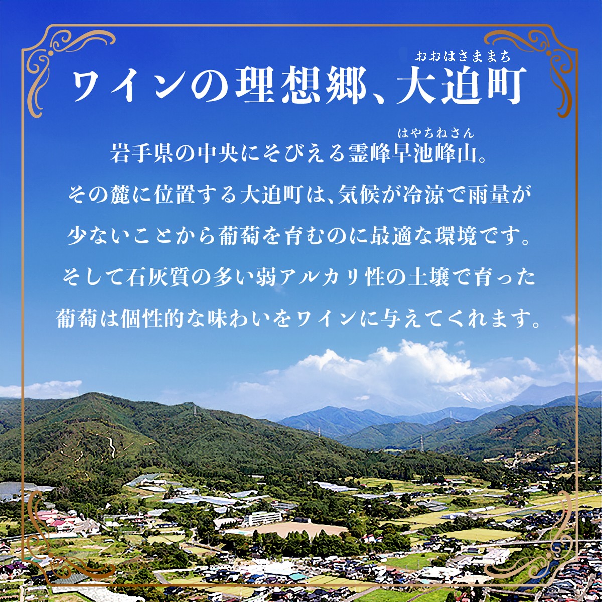 たっぷり飲めるマグナムサイズ赤・白6本セット 【2251】