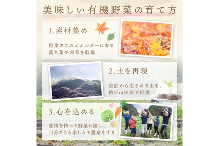【年4回定期便】＜てんとうむしばたけ＞オーガニック野菜セット　有機野菜11～12種(4人用)