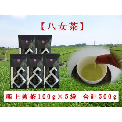 ふるさと納税 八女市 八女茶 極上煎茶 100g×5袋