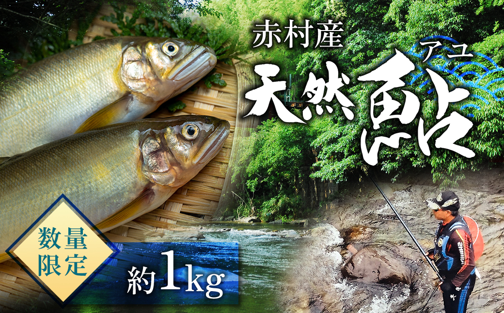 冷凍鮎　約1kg 3E6