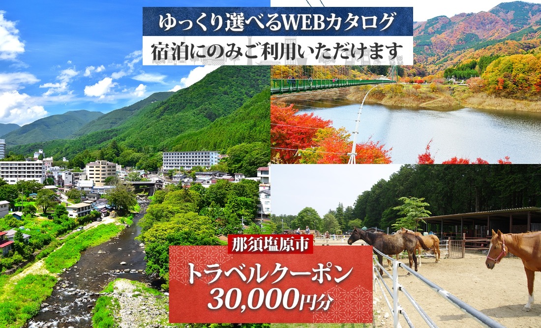 ns124-001 那須塩原市 後から選べる旅行Webカタログで使える！ 旅行クーポン（30,000円分）旅行券 宿泊券