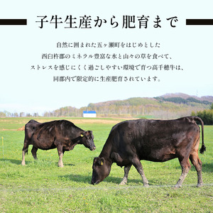 高千穂牛　１００％使用　ハンバーグ