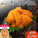 【ふるさと納税】【定期便2カ月】北海道 噴火湾産 塩水 バフンウニ 100g 1パック うに ウニ 雲丹 海鮮 海の幸 魚介類 ウニ丼 お寿司 濃厚 無添加 産地直送 産直 お取り寄せ 山村水産 送料無料　定期便・伊達市