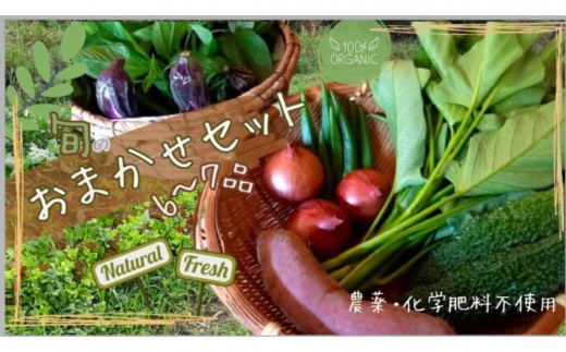 
                  旬の お野菜 おまかせセット 6～7品  ( 農薬・化学肥料不使用 )　野菜 やさい 詰め合わせ 新鮮 季節 
                