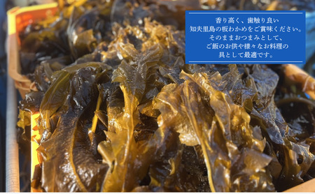 【知夫里産】養殖わかめ　3袋セット　国産　島根県　隠岐　わかめ　